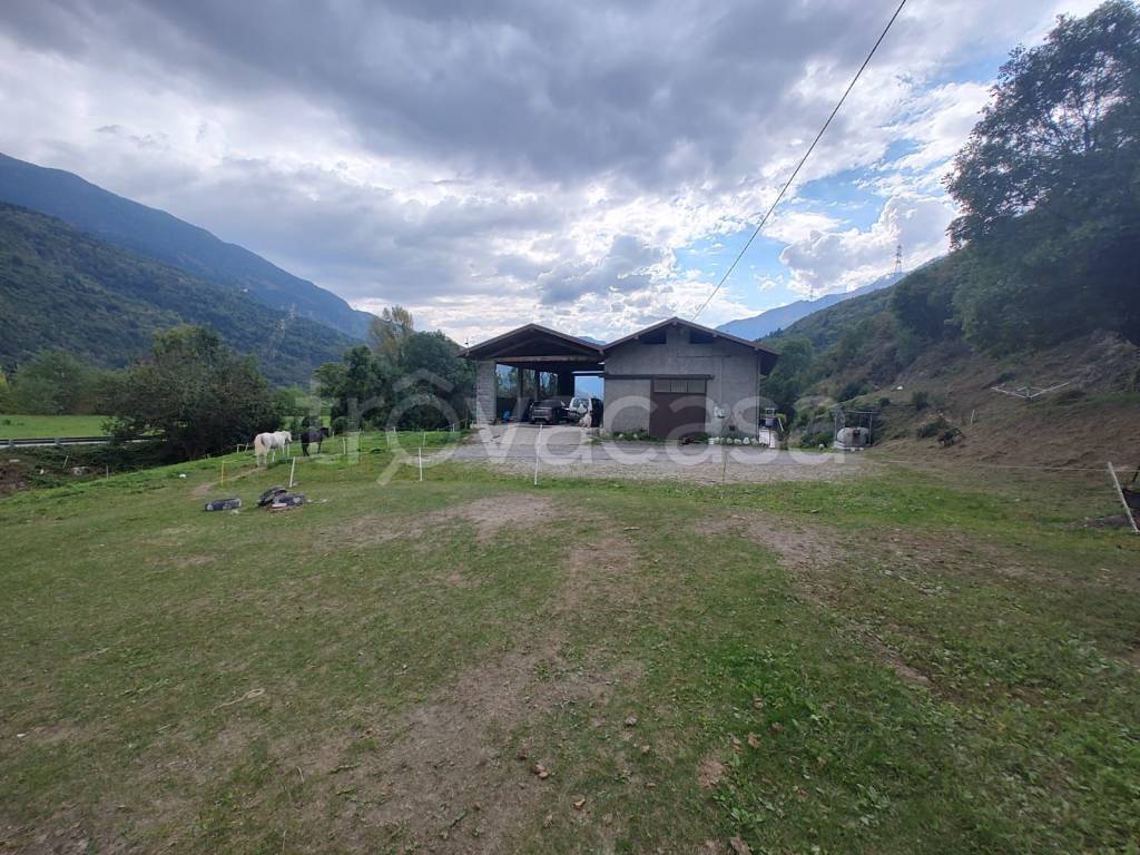 immagine annuncio 8 di 15