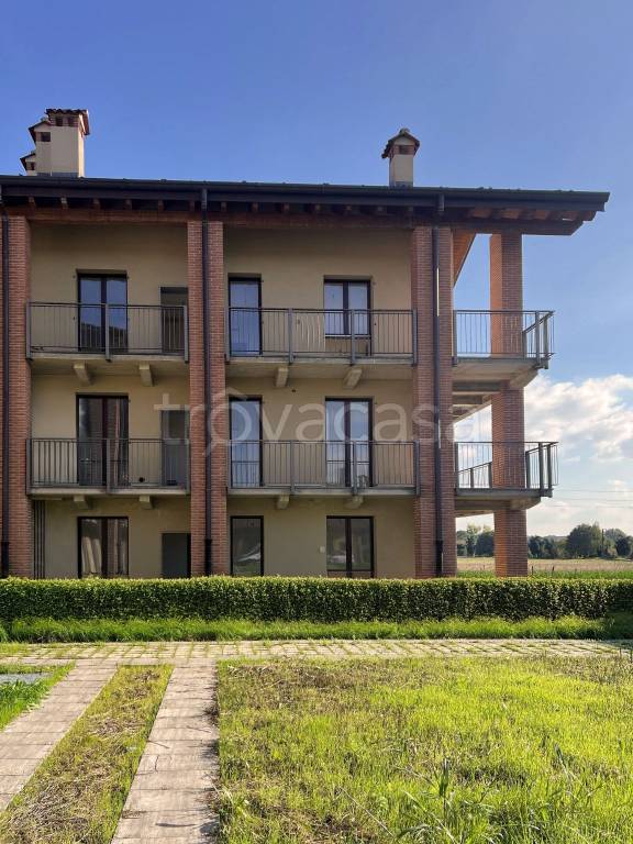 immagine annuncio 6 di 8