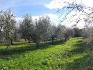 Terreno agricolo in vendita a perugia santa lucia - zona quintino sella