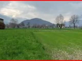 Terreno agricolo all'asta a piancogno localita` saletti snc null, piancogno, bs,