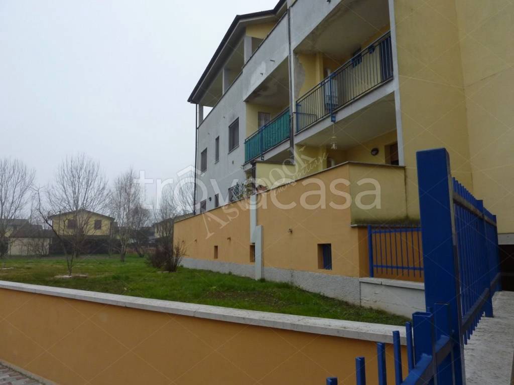immagine annuncio 3 di 6