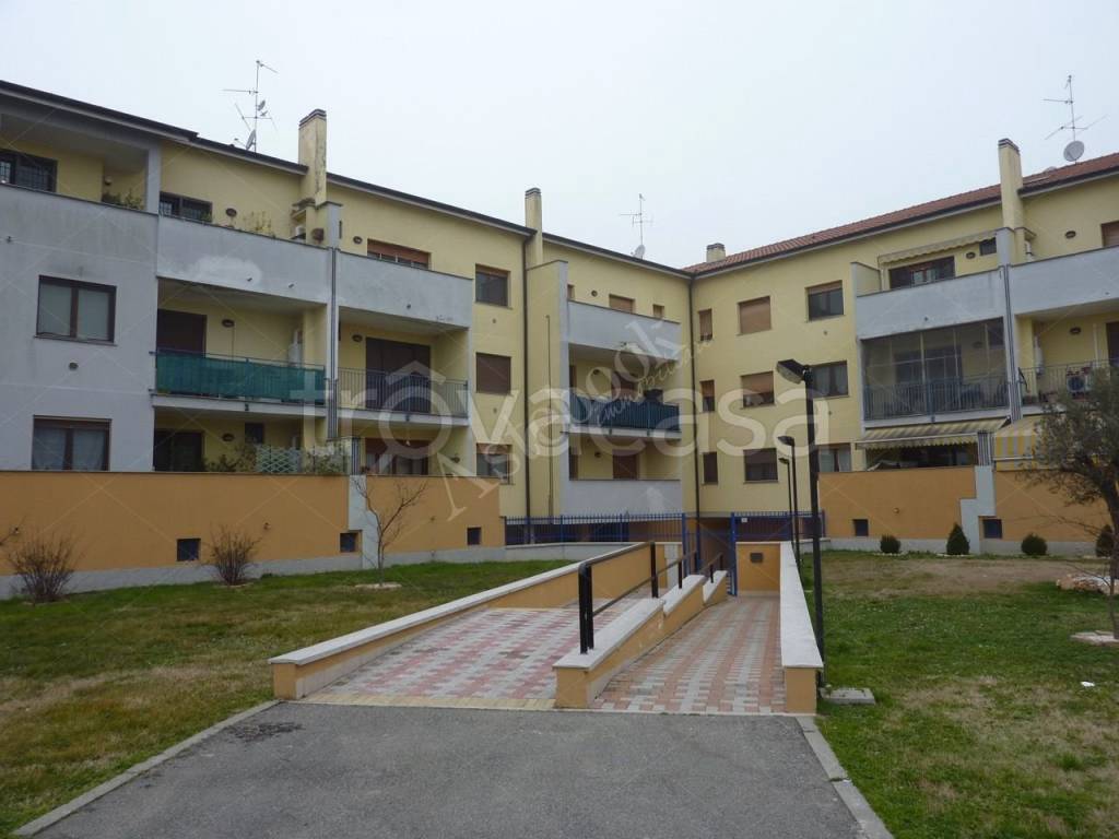 immagine annuncio 7 di 8