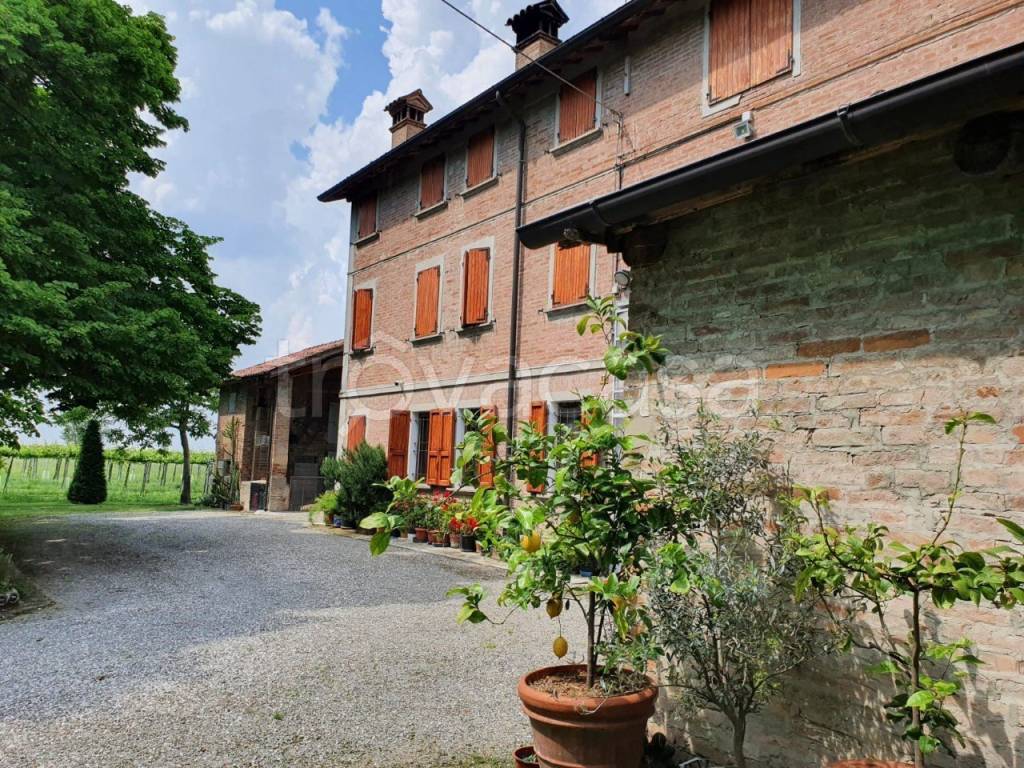immagine annuncio 3 di 7