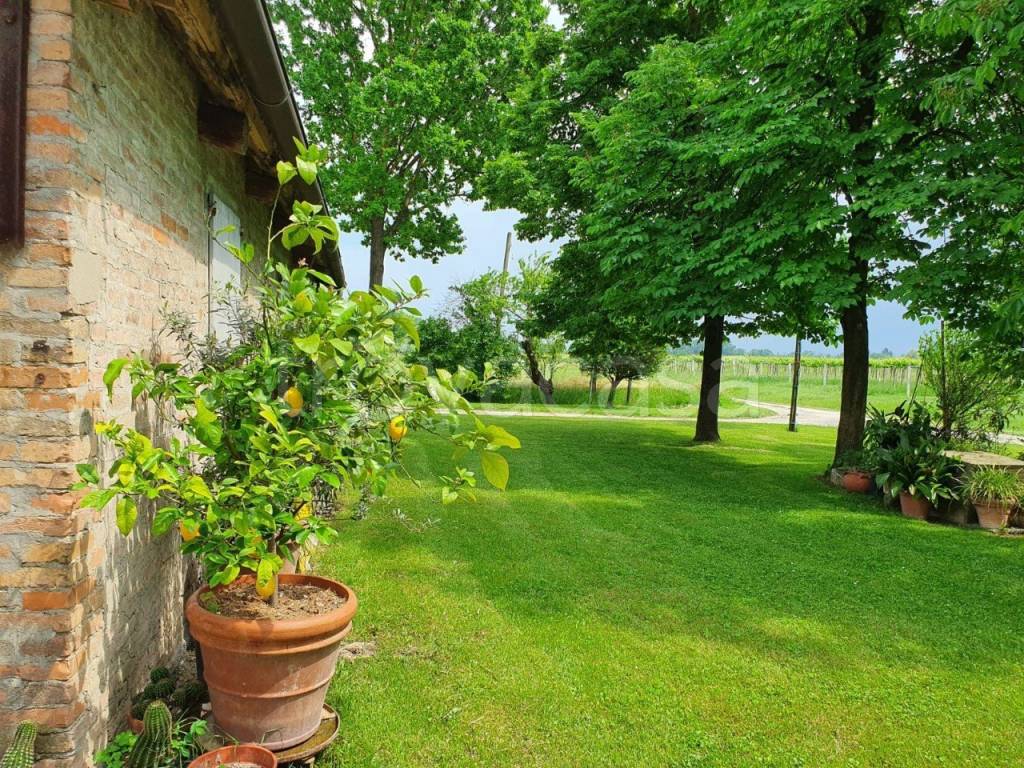 immagine annuncio 2 di 7