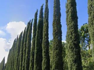 Casale in vendita a grosseto strada vicinale commendone