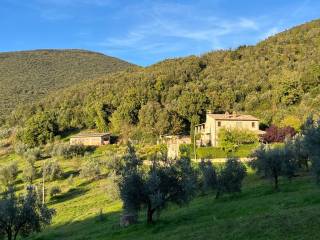 Casale in in vendita da privato a san gemini località san nicolò, 1