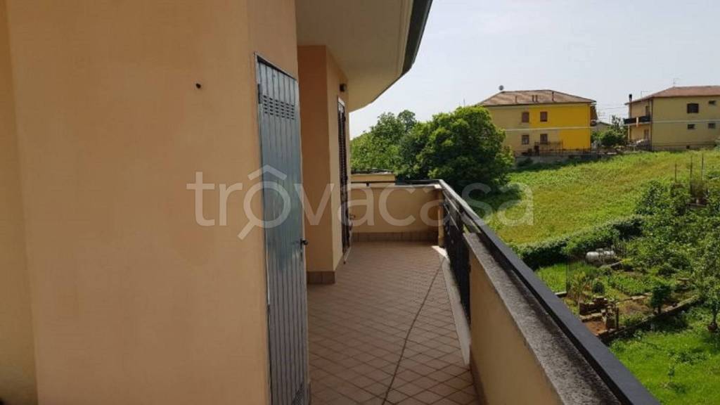 immagine annuncio 7 di 12