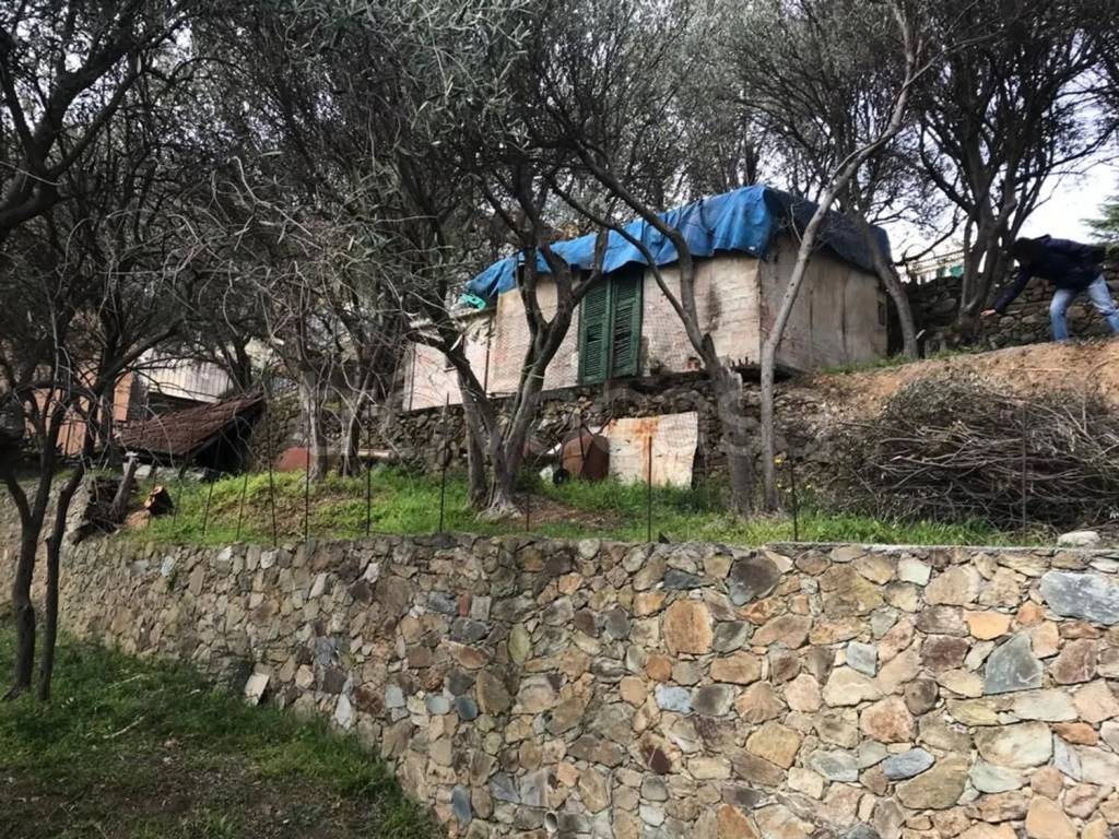immagine annuncio 5 di 8