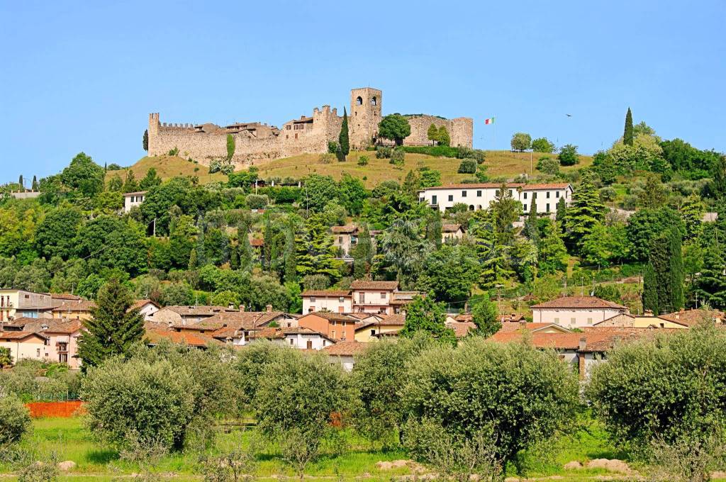 immagine annuncio 6 di 15