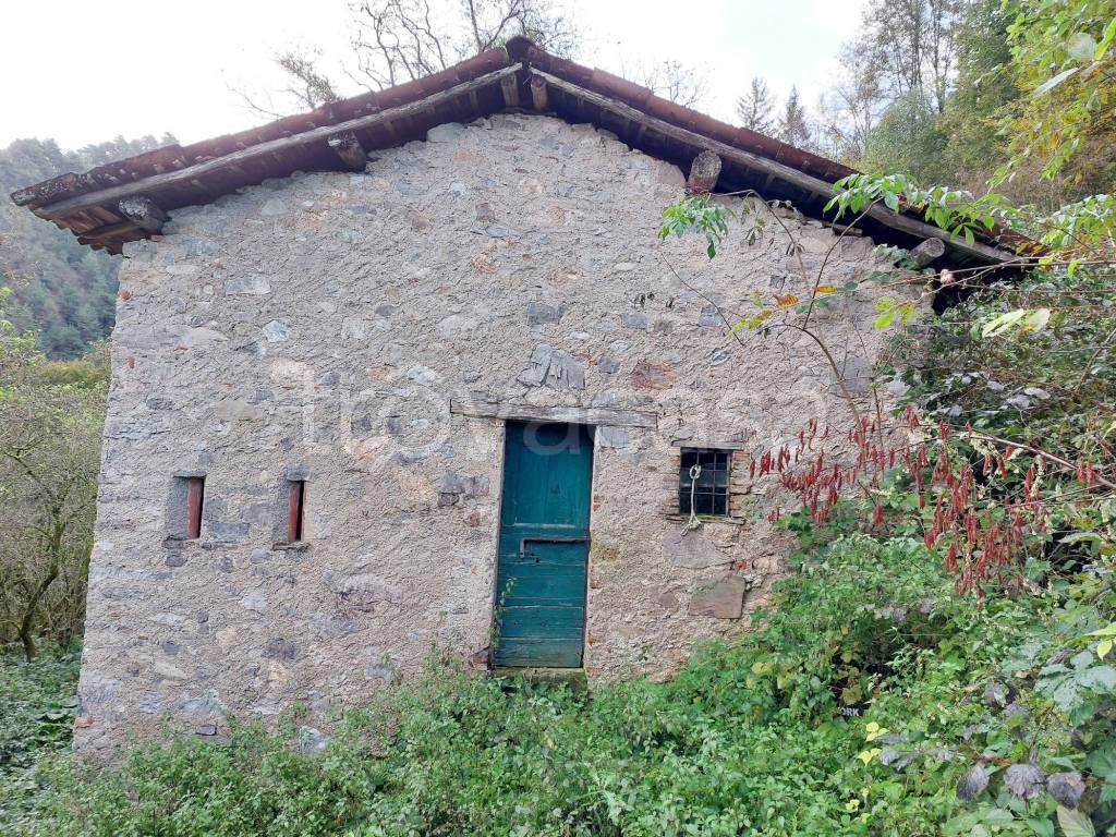 immagine annuncio 1 di 7