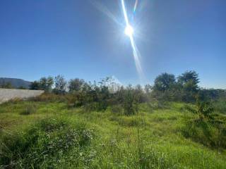 Terreno agricolo in vendita a napoli via vicinale torciolano, 12