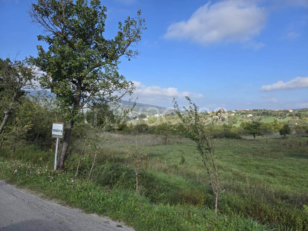 immagine annuncio 12 di 13