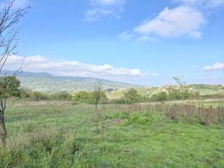 Terreno agricolo in vendita a nusco c/da chianola