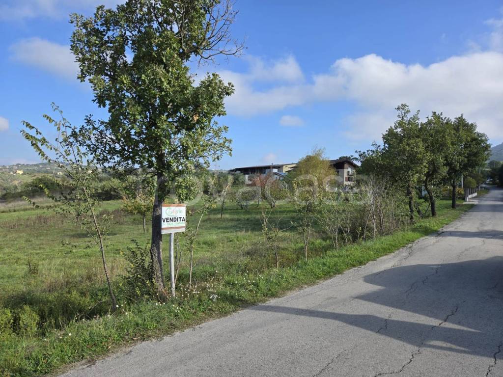 immagine annuncio 9 di 13