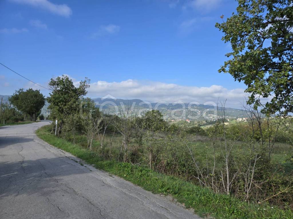 immagine annuncio 10 di 13