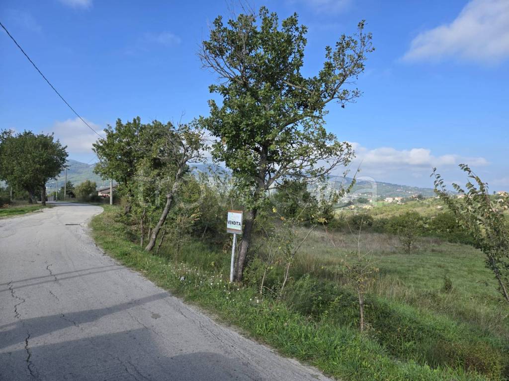 immagine annuncio 11 di 13
