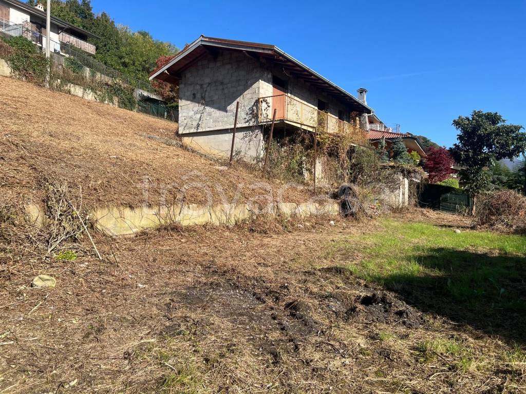 immagine annuncio 2 di 7
