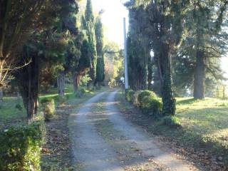 Villa in vendita a cesena 