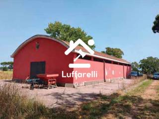 Terreno agricolo all'asta a nettuno via padiglione acciarella