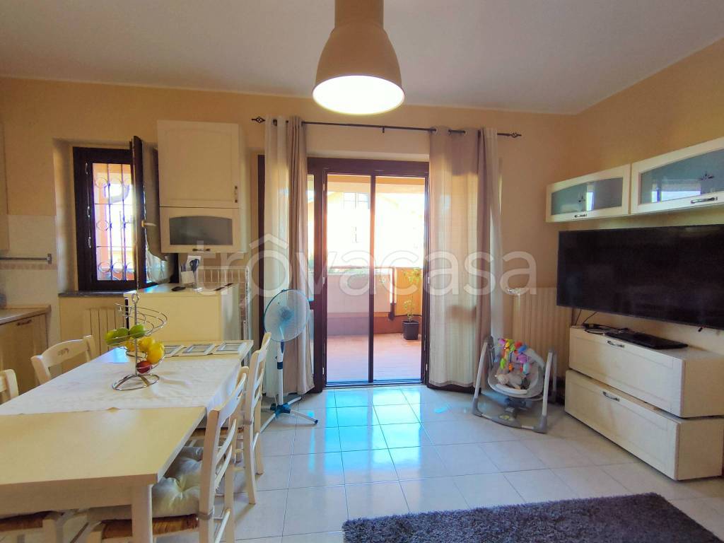 immagine annuncio 1 di 12