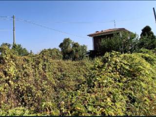 Terreno agricolo all'asta a carpenedolo via cesare abba