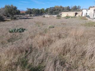 Terreno agricolo in vendita a terrasini via delle ortensie