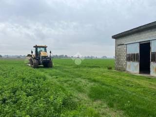 Terreno agricolo in vendita a ferrara via pagana, 11