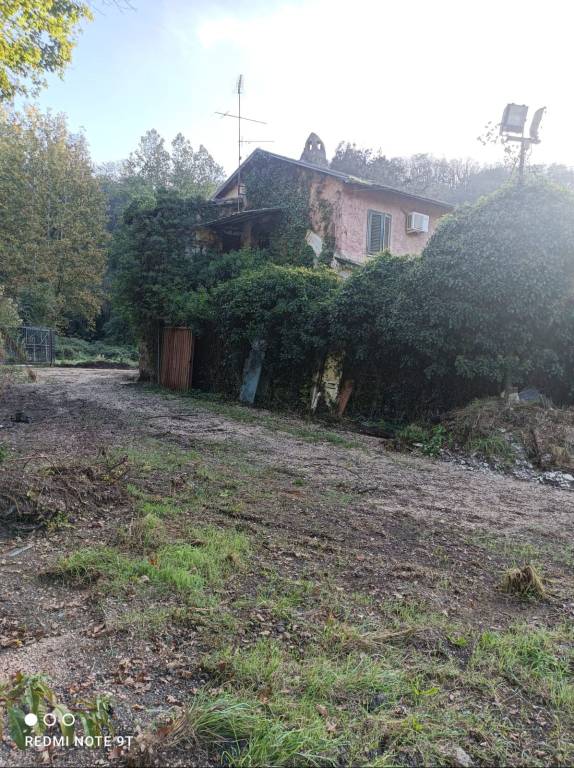 immagine annuncio 6 di 9