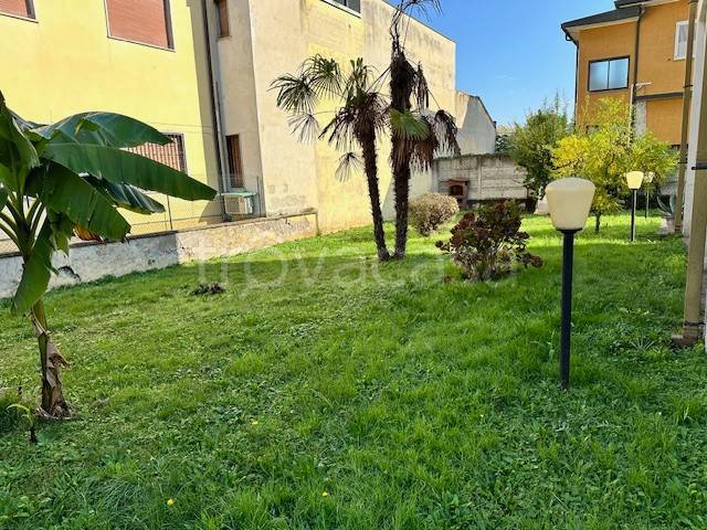 immagine annuncio 4 di 6