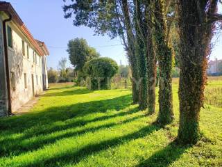 Terreno agricolo in vendita a san biagio di callalta via g.matteotti, 102