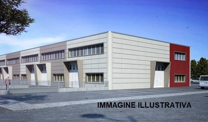 immagine annuncio 6 di 13