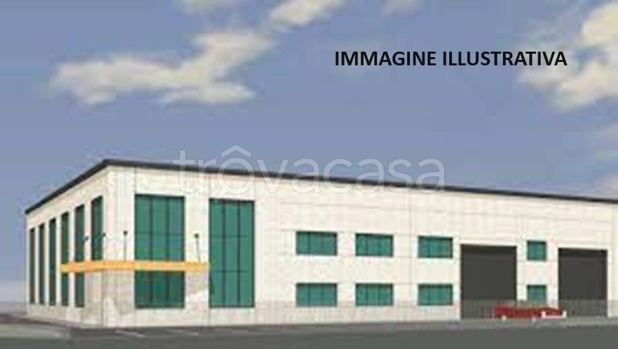 immagine annuncio 9 di 13