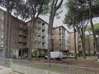 Appartamento in vendita a comacchio viale dei lecci, lido degli estensi 92