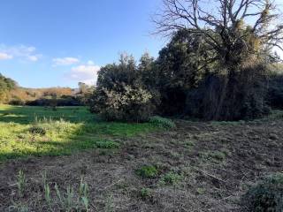 Terreno residenziale in vendita a vetralla via cassia botte