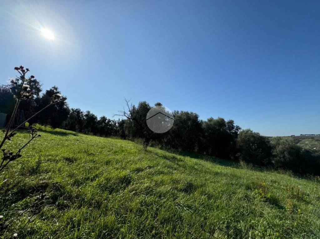 immagine annuncio 6 di 11