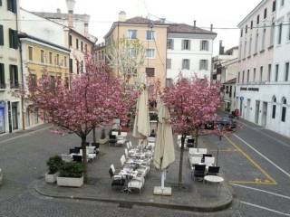 Negozio in affitto a treviso piazza pola