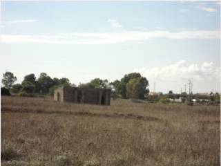 Terreno agricolo in vendita a spongano strada vicinale vecchia spongano diso