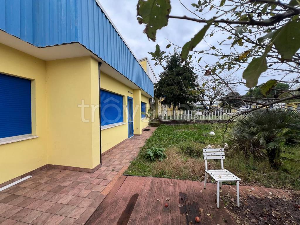 immagine annuncio 3 di 9