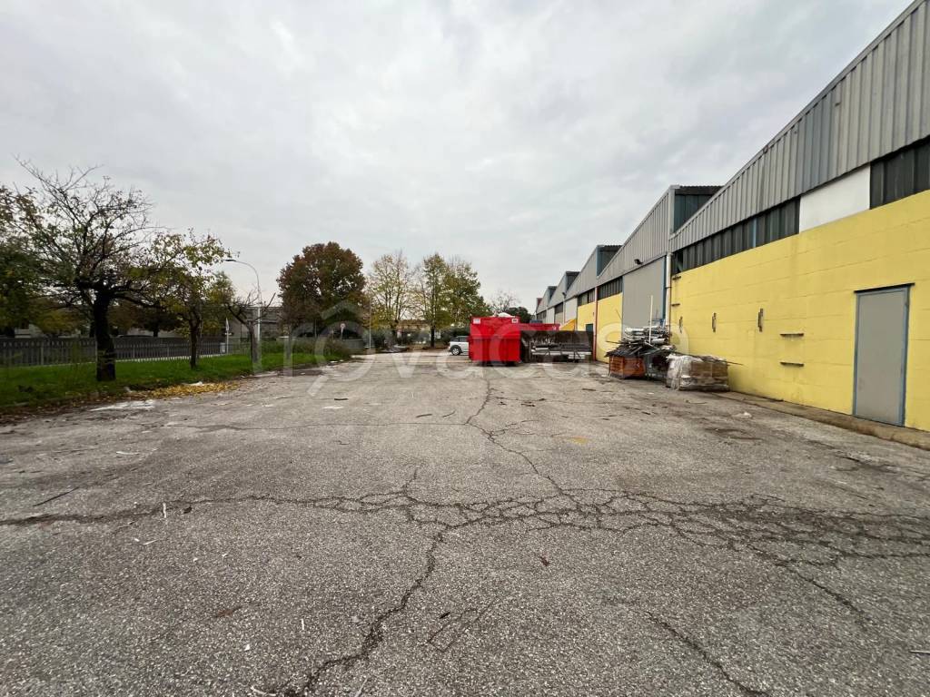 immagine annuncio 5 di 9