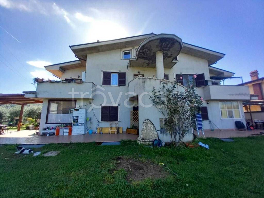 immagine annuncio 10 di 14