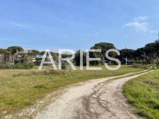 Terreno agricolo in vendita a roma via del canale della lingua