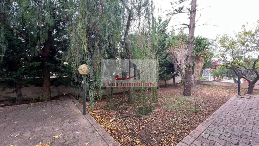 immagine annuncio 11 di 14