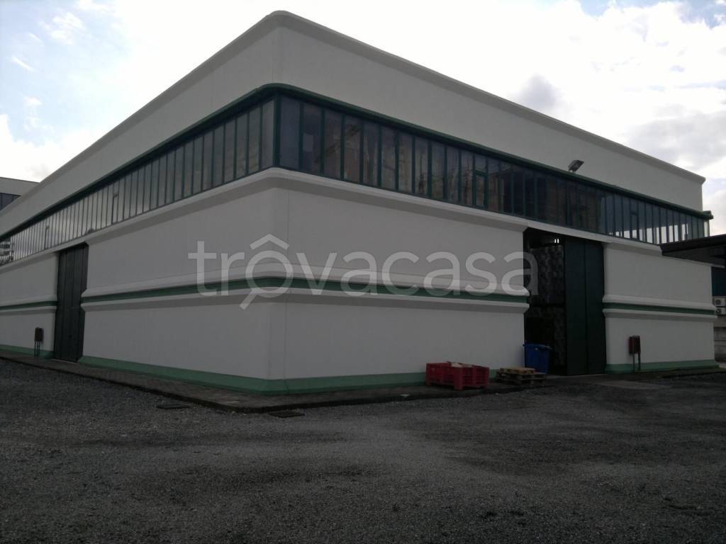 immagine annuncio 4 di 6