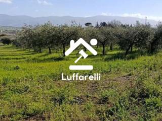 Terreno agricolo all'asta a giano dell'umbria vocabolo fabbri