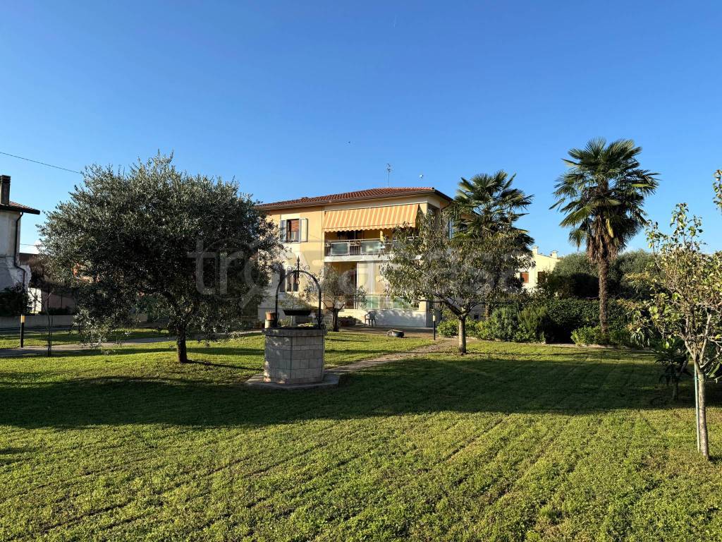 immagine annuncio 7 di 15