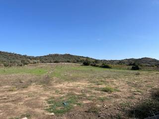 Terreno agricolo in vendita a tortolì strada statale orientale sarda