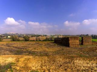 Terreno agricolo in vendita a montecosaro loc. selve 1