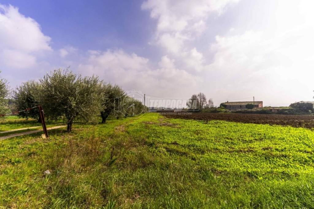 immagine annuncio 8 di 13