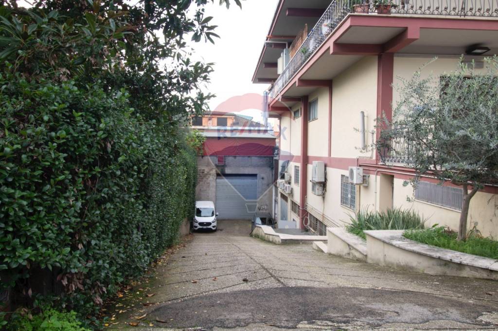 immagine annuncio 5 di 6