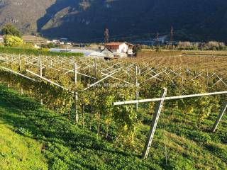 Terreno agricolo in vendita ad avio via pozza